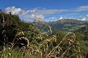 22 Finestra tra le piante del bosco verso Arera e Grem